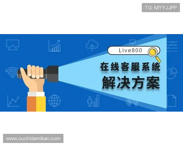 九游客户中心个性化服务方案提供定制化的游戏建议与专属客户支持服务