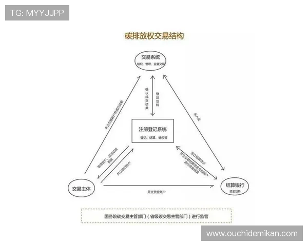 尊龙凯时注册中心的最新注册政策与用户协议解读